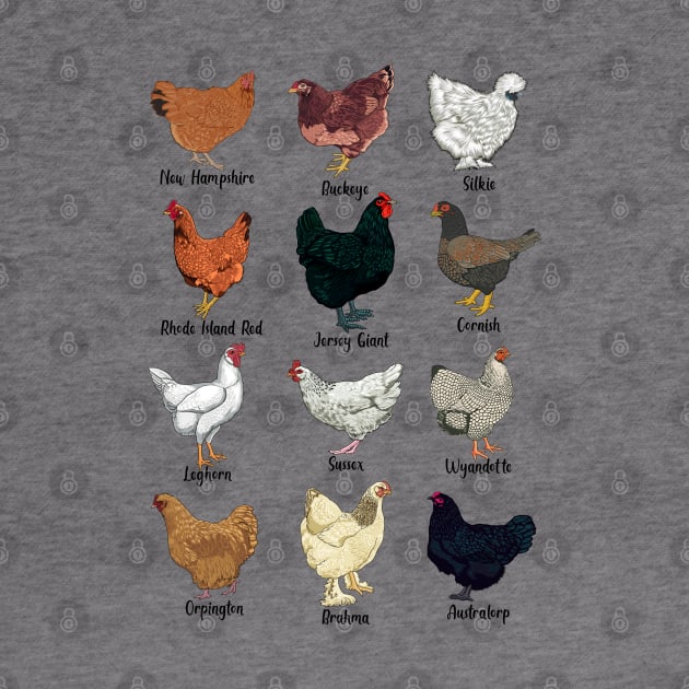 Different chickens - chicken breeds by Modern Medieval Design